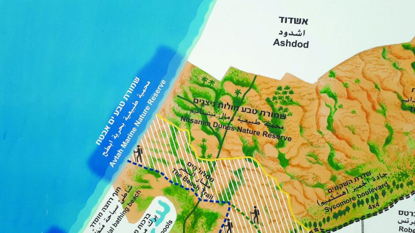 מפה של רשות הטבע והגנים - שמורת חולות ניצנים ודרום העיר אשדוד. צילום: דור גפני