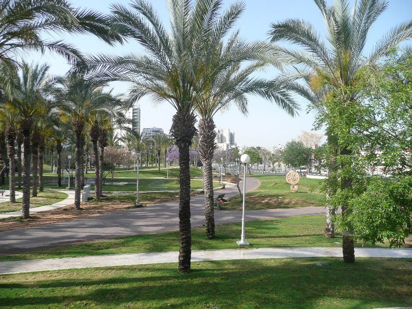 טו בשבט באשדוד. צילום: עיריית אשדוד
