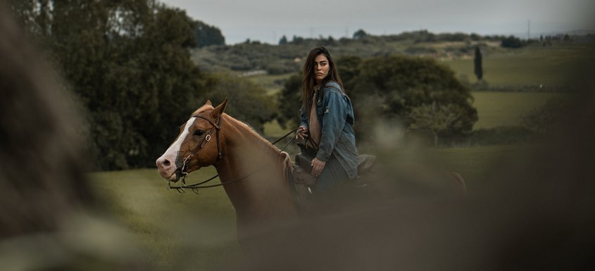 על הסוס, סייר. צילום: נסיכה סיאני