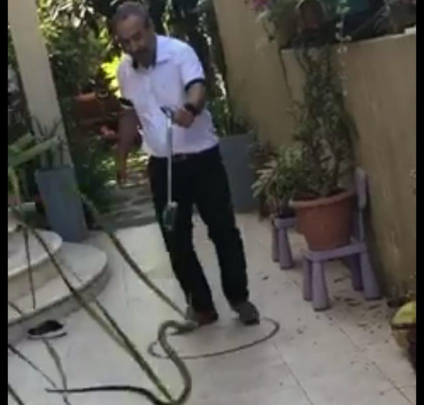 נחש חדר לביתו של אהרון דרור