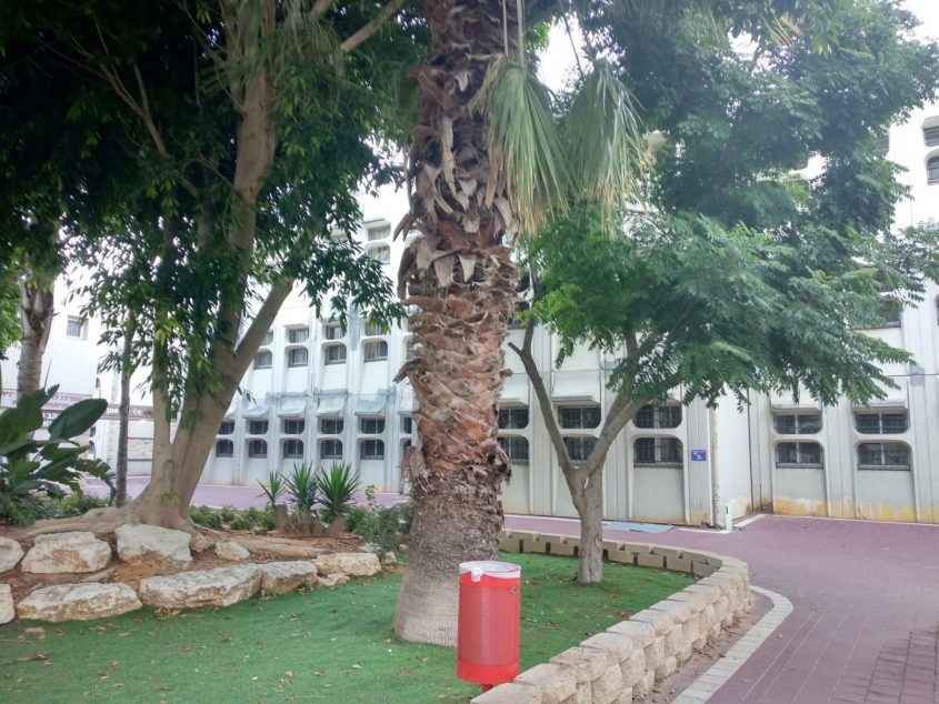 מקיף ה'. צילום: מקיף ה׳