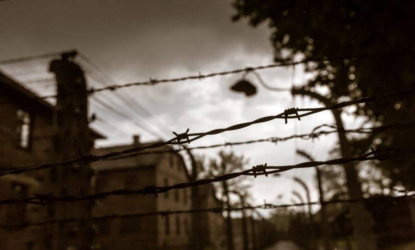 גדרות מחנה אושוויץ. צילום: freepik.com