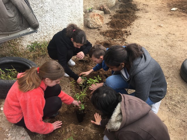 שותלים במרכז קהילתי חרצית. צילום: יחצ