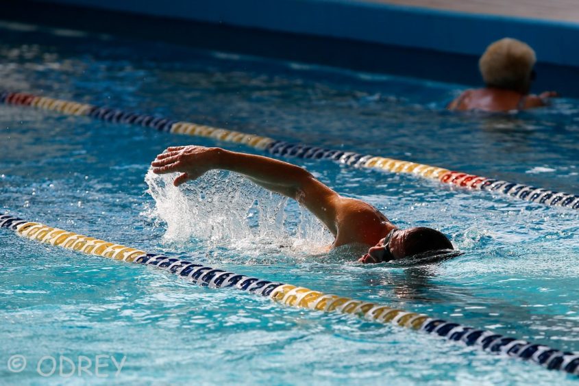 קורס שחיה קאנטרי בית לברון אשדוד. צילום: ODREY לירון מולדובן