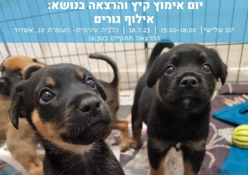 יום אימוץ בכלביה באשדוד