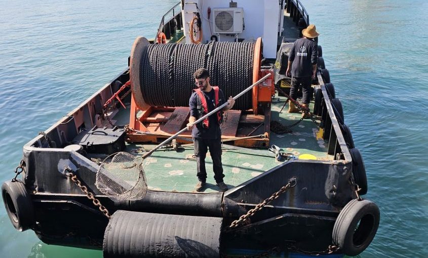 מבצע חילוץ הצלת צב ים בנמל אשדוד. צילום: גיא איבגי