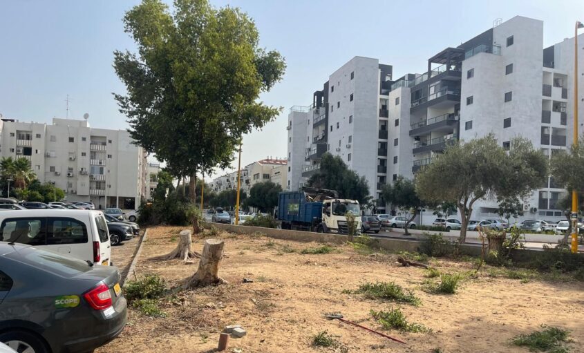 פרויקט 'חצרנות' ו'הבית שלי נקי'