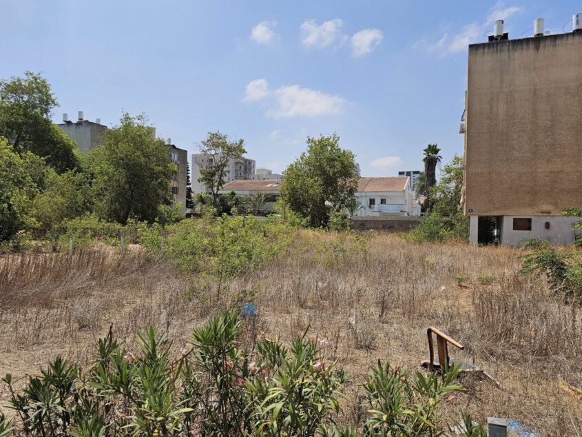 העשבייה שצילם אסייג ברובע ח'