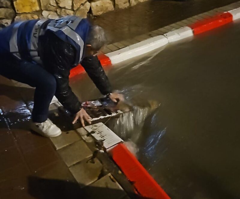 עובדי העירייה, הלילה