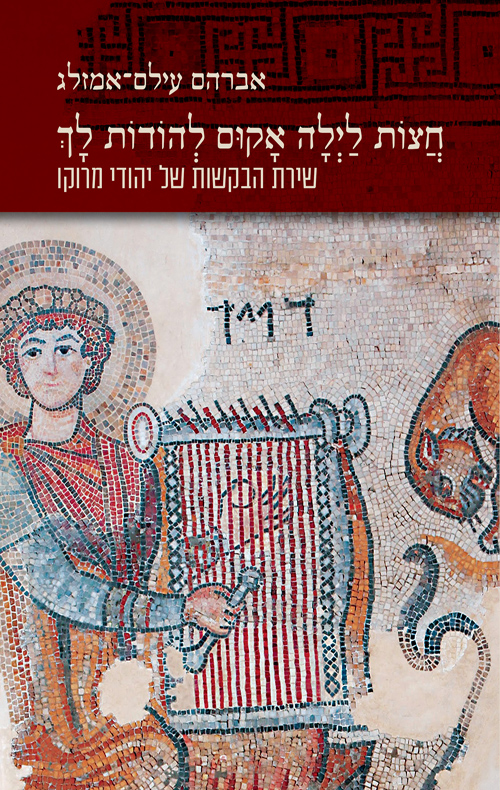 כריכת הספר החדש שיושק באשדוד