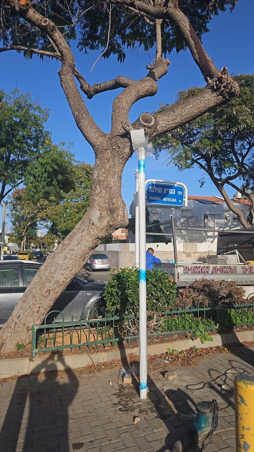 הפתרון החדשני לעצים באשדוד