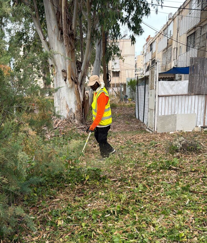 ניקיון חצרות באשדוד. צילום: לירון מולדובן