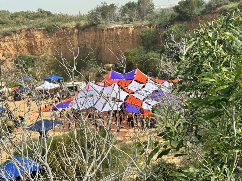 מסיבת טבע בחוף החשמל. צילום: דוברות המשטרה