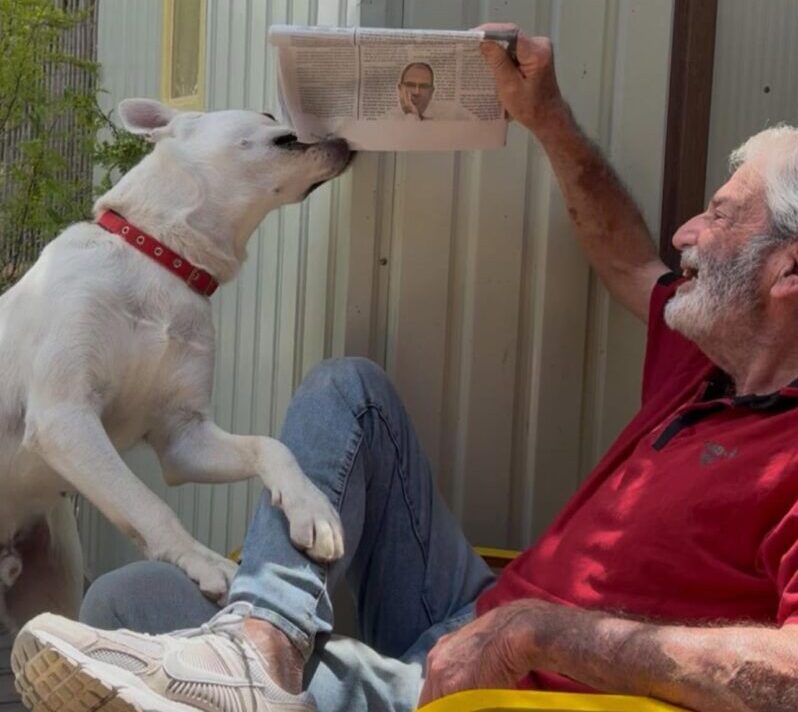 גבי קמין ז"ל