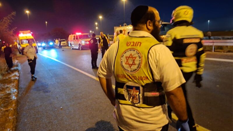 זירת התאונה בכביש 7. צילום: הצלה דרום