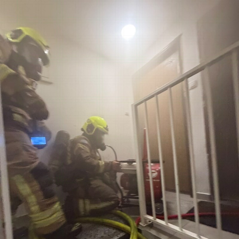 דרמה באשדוד: כך חולצו כלב וחתול מדירה בוערת