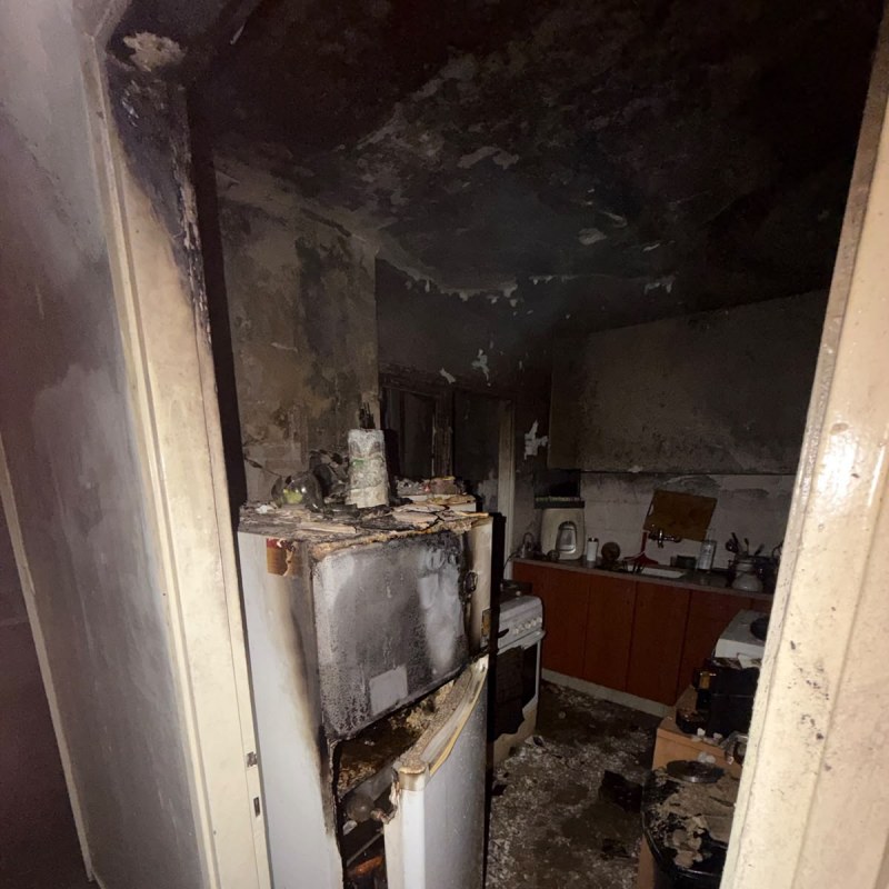 דרמה באשדוד: כך חולצו כלב וחתול מדירה בוערת
